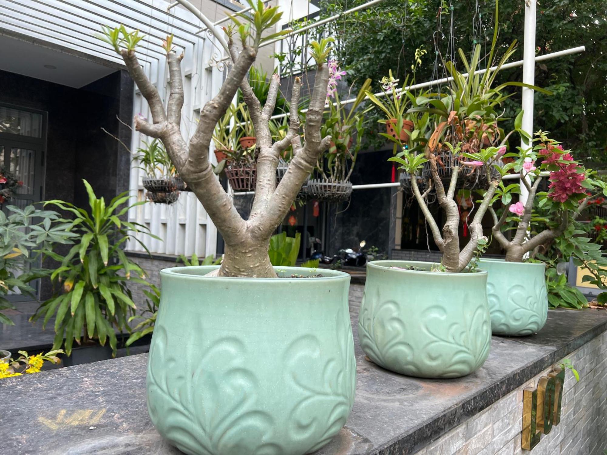 With Full Amenities * Hô Chi Minh-Ville
